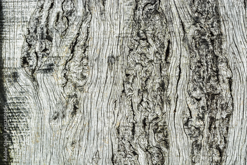 Obraz premium Wood board background texture