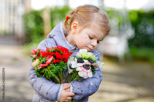 Little toddler lovely girl with red and white ranunculus flowers in spring garden. Happy cute baby holding fresh colorful bouquet as gift for mother's day for mum.