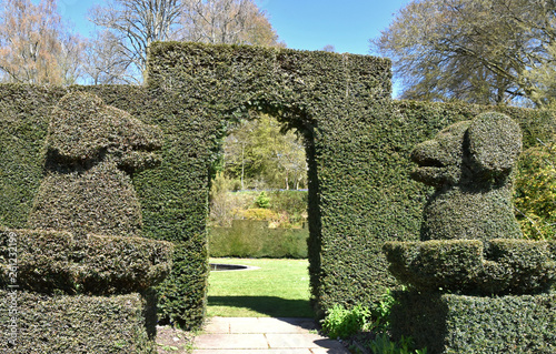 A pair of clipped topiary dogs photo