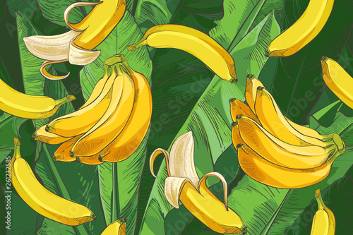 Vector Tropical bananas palm, textural seamless pattern.