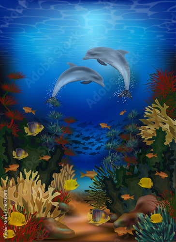 Underwater wallpaper with dolphins  vector illustration