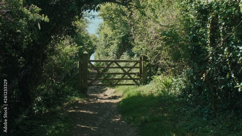 custom made wallpaper toronto digitalCountryside path and gate on a summer day.