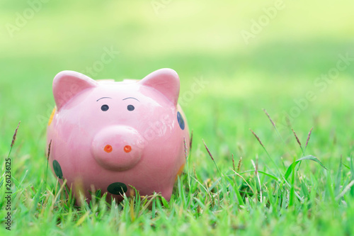 Piggy bank on green grass with sun light in the morning, select focus