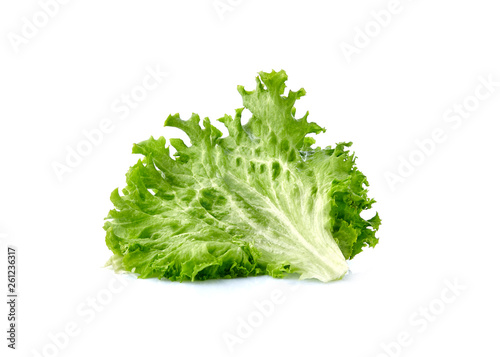 Green leaf lettuce on white background