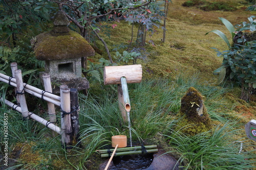 Zen Garden Japan
