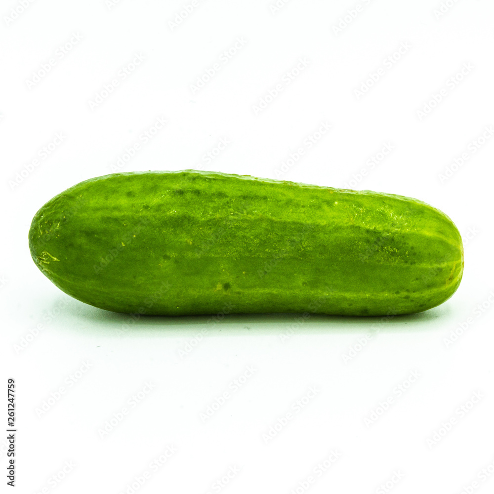Hello Pickle Hello Pickle
