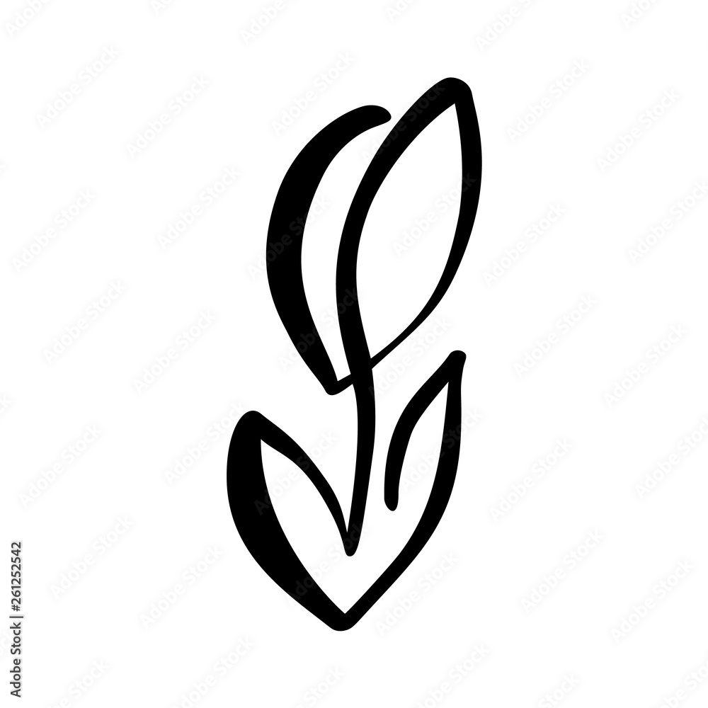 Continuous line hand drawing calligraphic vector flower concept logo. Scandinavian spring floral design element in minimal style. black and white Continuous line hand drawing calligraphic vector flower concept logo. Scandinavian spring floral design element in minimal style. black and white