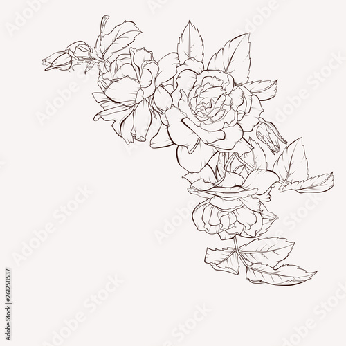 Vector rose flower. Element for design. Hand-drawn contour lines and strokes. Perfect corner for background greeting cards and invitations of the wedding, birthday, Valentine's Day, Mother's Day.