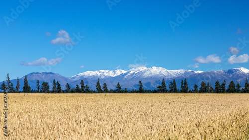 Mount Taylor and Mount Hutt scenery in south New Zealand photo