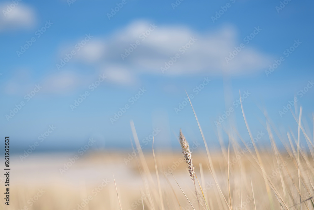 Fototapeta premium blurred summer beach background with cloud in blue sky above beach and ocean