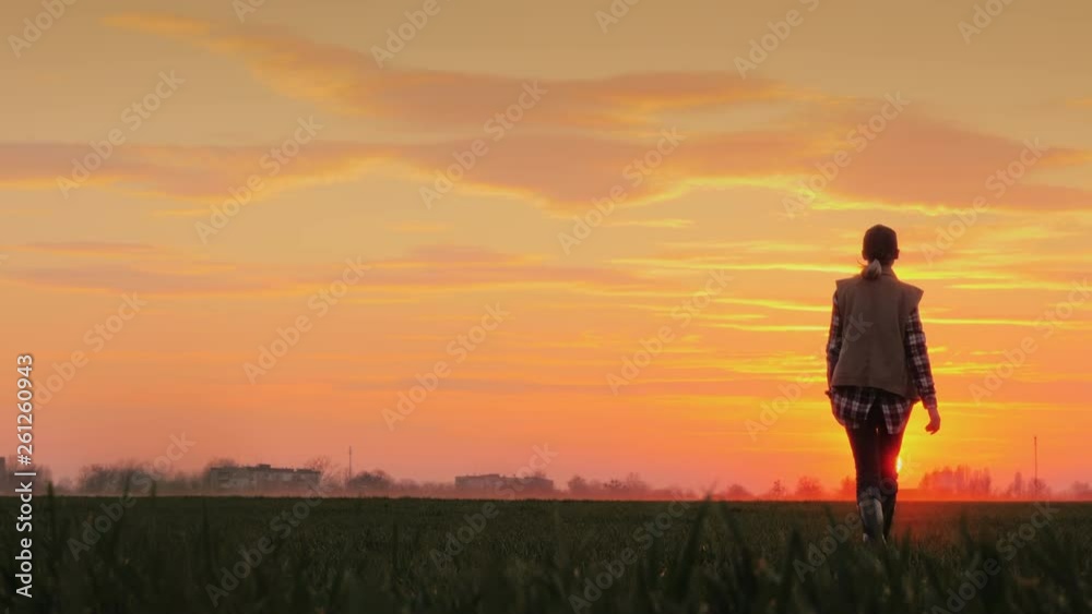A confident farmer walks across the field towards the rising sun against the backdrop of picturesque clouds. A confident farmer walks across the field towards the rising sun against the backdrop of picturesque clouds.
