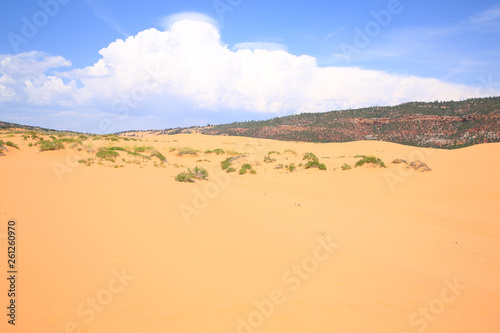 Coral Pink Sand Dunes State Park in Utah  USA
