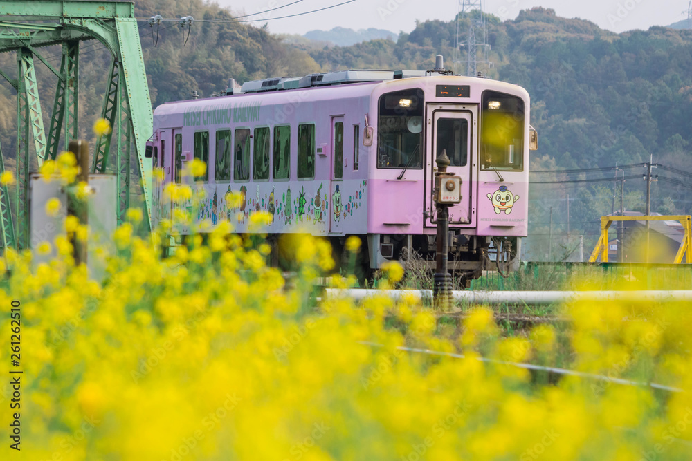 Local purple train of Nogata Heisei Chikuho Railway in Fukuoka, Japan. Taken in Nogata City, Fukuoka, Japan on April 7, 2019 in spring season. A beautiful view with yellow flowers. Local purple train of Nogata Heisei Chikuho Railway in Fukuoka, Japan. Taken in Nogata City, Fukuoka, Japan on April 7, 2019 in spring season. A beautiful view with yellow flowers.