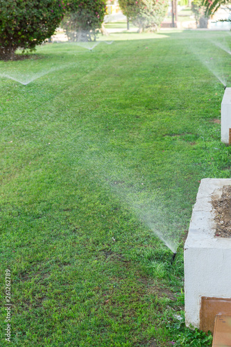 Sprinkler in garden watering the lawn. Automatic watering lawns concept