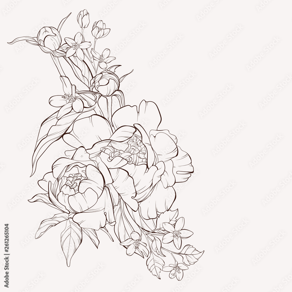 Vector peony flower isolated on white background. Element for design. Hand-drawn contour lines and strokes. - obrazy, fototapety, plakaty 