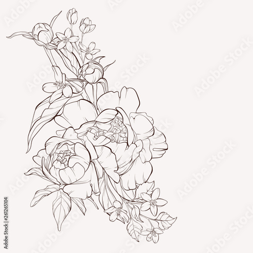 Vector peony flower isolated on white background. Element for design. Hand-drawn contour lines and strokes.