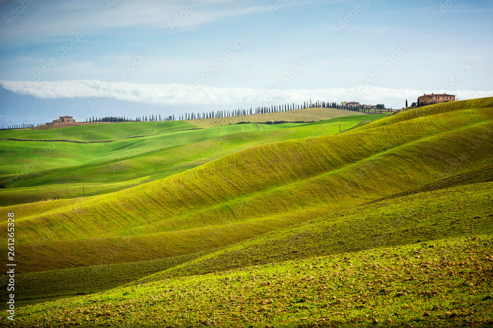 Tuscan hill with row of cypress trees and farmhouse ruin at sunset. Tuscan landscape. Italy Tuscan hill with row of cypress trees and farmhouse ruin at sunset. Tuscan landscape. Italy