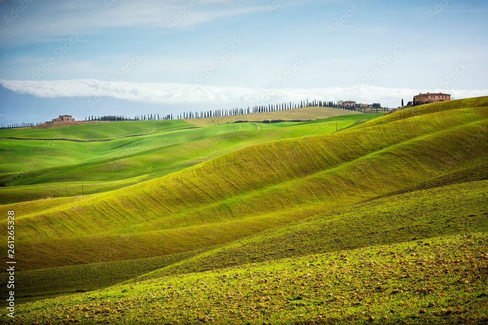 Tuscan hill with row of cypress trees and farmhouse ruin at sunset. Tuscan landscape. Italy