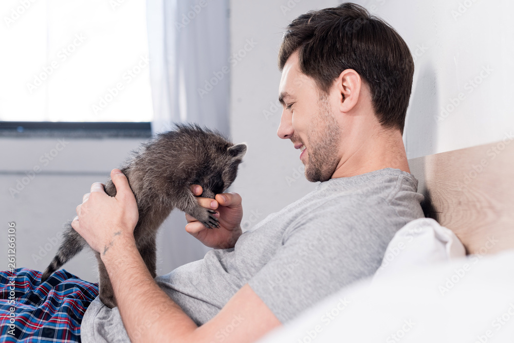 selective focus of cheerful man playing with adorable raccoon in bedroom selective focus of cheerful man playing with adorable raccoon in bedroom