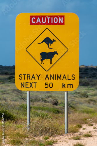 Caution stray animals next 50 km road sign in Australia
