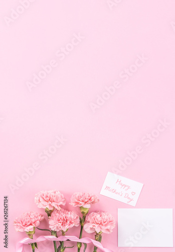 Top view, flay lay, copy space, close up, mock up, mothers day thanks design concept. Beautiful fresh blooming baby pink color carnations isolated on bright pink background © RomixImage