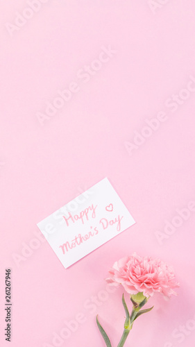 Top view, flat lay, mock up, copy space, handwritten greeting card template isolated with pale pink background, idea concept of thanks, wishes, craft carnations bouquet