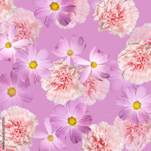 Fototapeta Naklejka Na Ścianę i Meble -  Beautiful floral background of kosmeya and carnations. Isolated