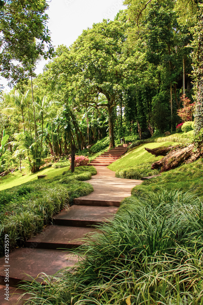 Stairway to tropical jungle, Thailand garden