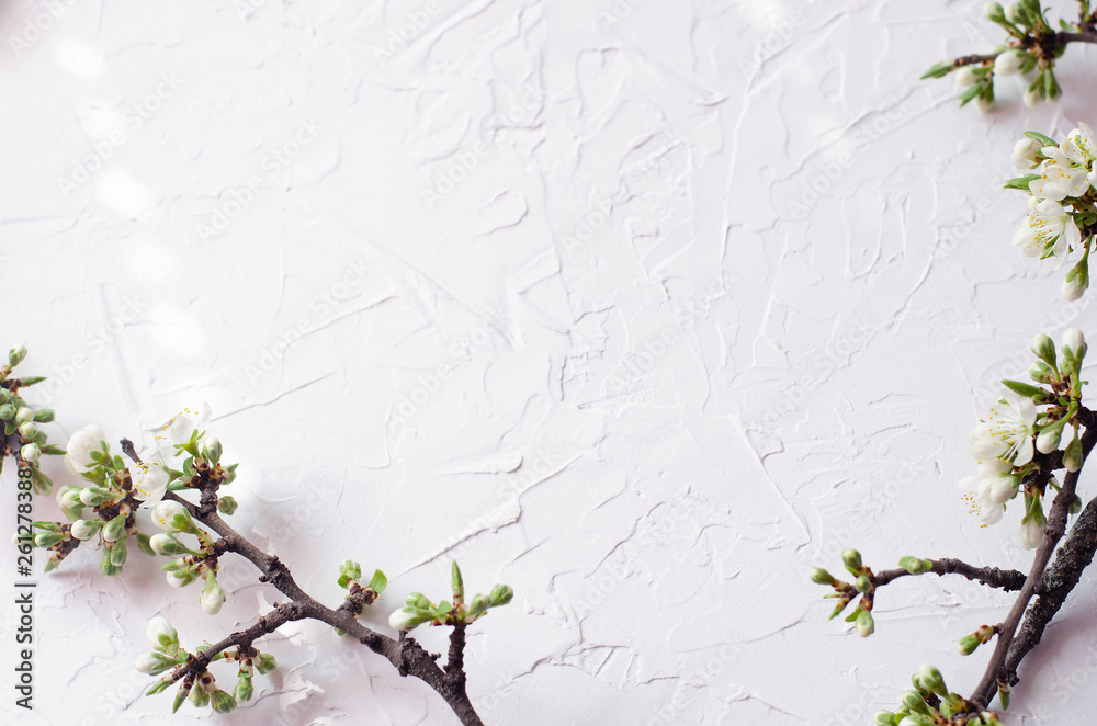 Spring arrangement of twigs with flowering on a white textural background. Spring arrangement of twigs with flowering on a white textural background.