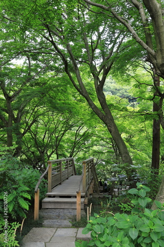 新緑の風景 © phototenki