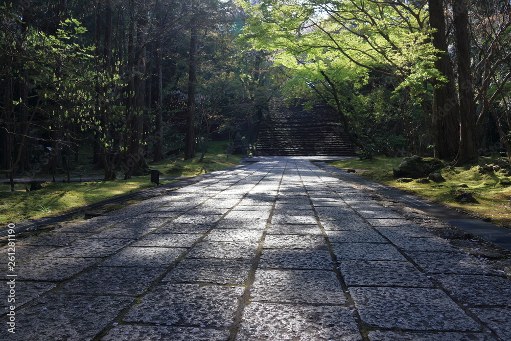 日本の風景　高知市　五台山竹林寺　新緑の参道