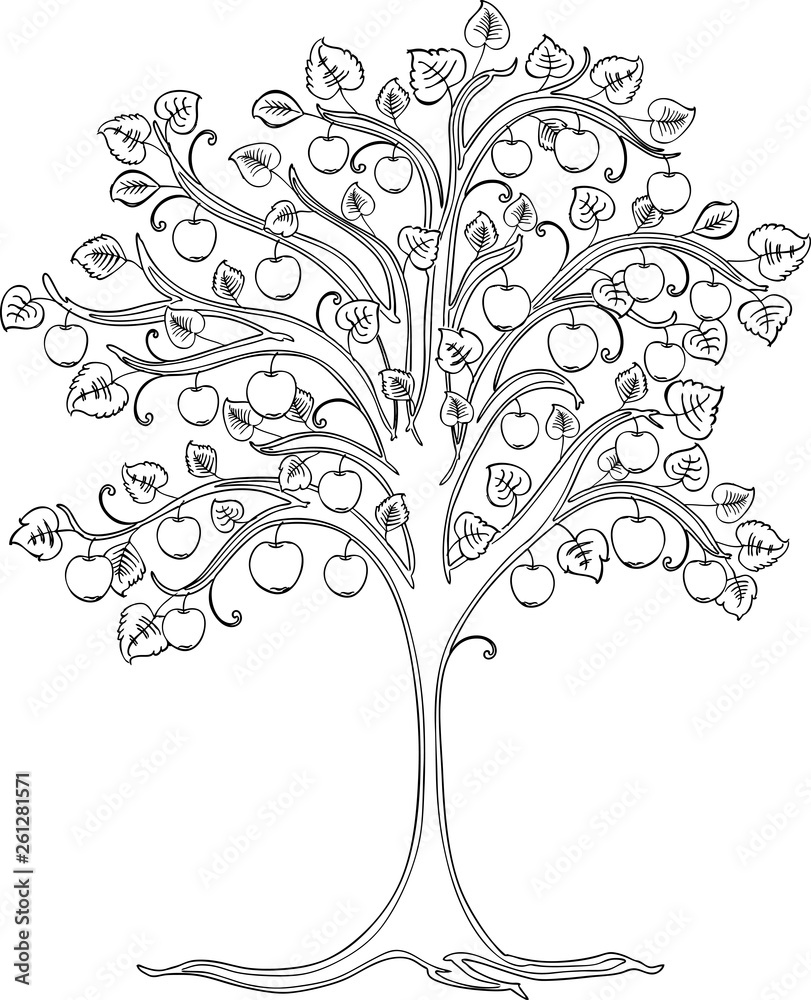 A contour drawing of decorative apple tree A contour drawing of decorative apple tree