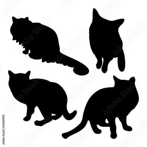 Black cat silhouette on white background