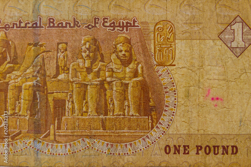 Macro shot of one egyptian pound bill