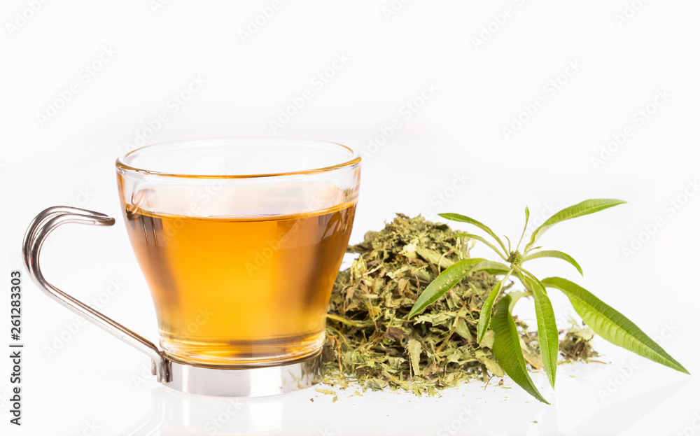 Tea with lemon verbena - Aloysia citrodora. White background