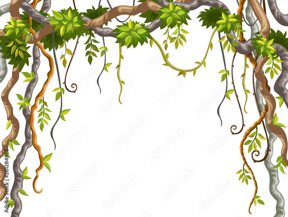 Fototapeta premium Liana branches and tropical leaves on white background. Cartoon frame plants of jungle with space for text. Isolated vector illustration.