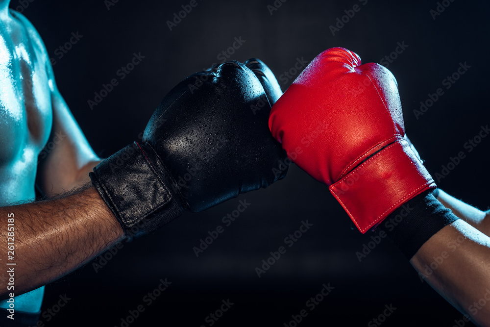 Partial view of two boxers in boxing gloves touching hands on black