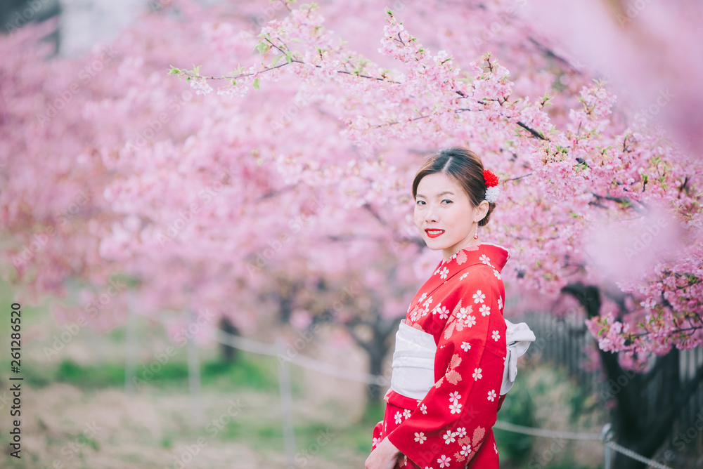Asian woman wearing kimono with cherry blossoms,sakura in Japan. Asian woman wearing kimono with cherry blossoms,sakura in Japan.