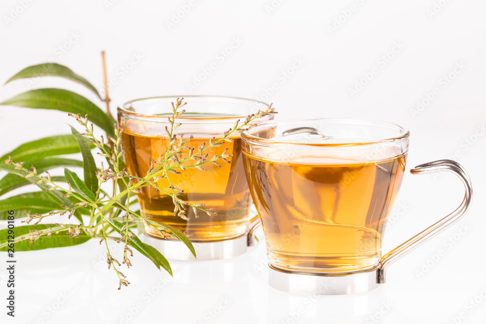 Tea with lemon verbena - Aloysia citrodora. White background Tea with lemon verbena - Aloysia citrodora. White background