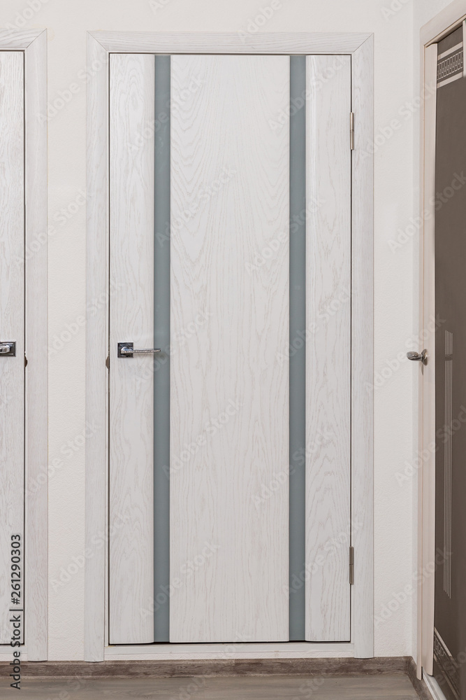 light interior door for repair. Concept - flat design light interior door for repair. Concept - flat design