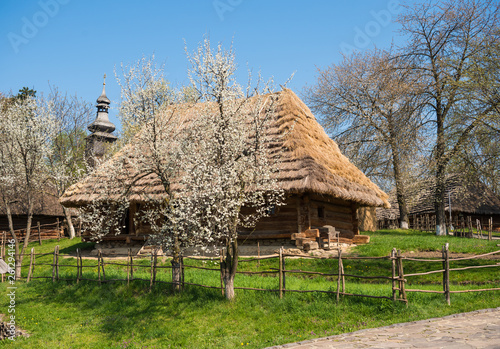 Old wooden house with  thatched roof in spring time photo