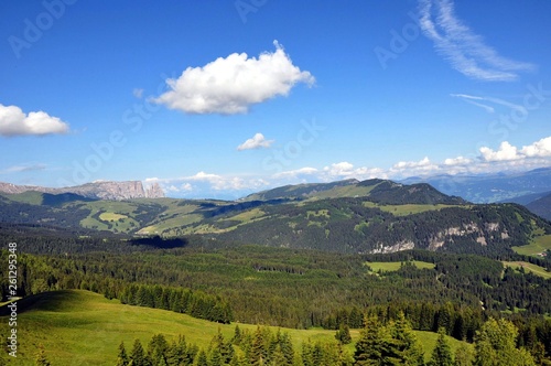 Dantercerpies in den Dolomiten