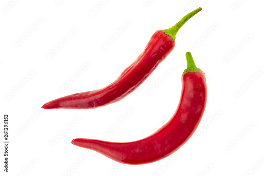 pair bright red chilli peppers long twisted pod on white isolated background culinary background