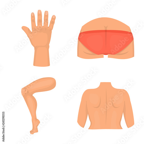 Vector design of body and part symbol. Set of body and anatomy stock symbol for web.