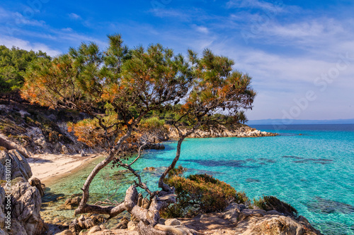 Fototapeta Naklejka Na Ścianę i Meble -  Kavourotrypes or Orange is a small beaches in Sithonia, Chalkidiki, Greece