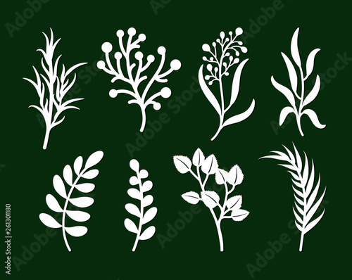 Laser cutting template of leaves, branches, grass. Openwork foliage of herbs isolated on green background. Vector silhouette of elements. Ecology art set for wood carving, paper cut, stamp for die cut