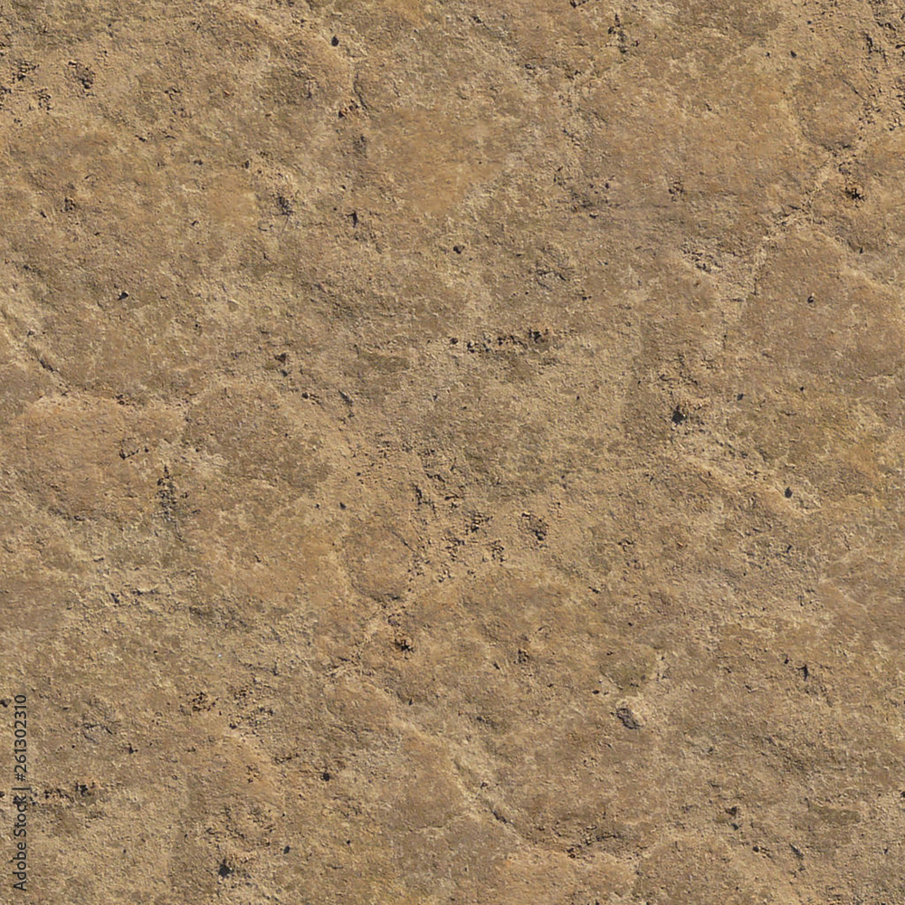 Seamless hard ground dirt texture