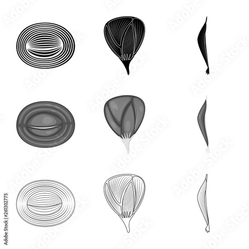 Isolated object of fiber and muscular logo. Collection of fiber and body  vector icon for stock.