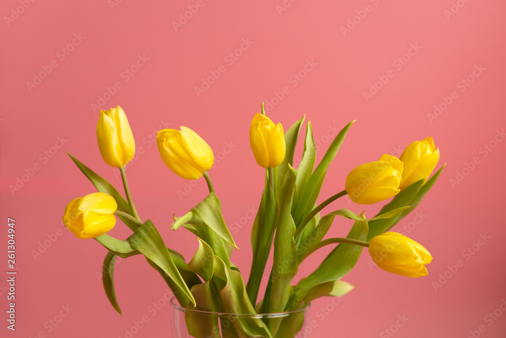 Spring and easter card: yellow tulips on a coral background. Selective focus