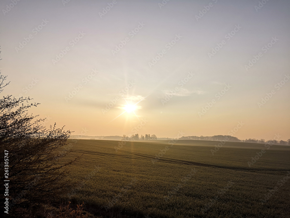 Landschaft